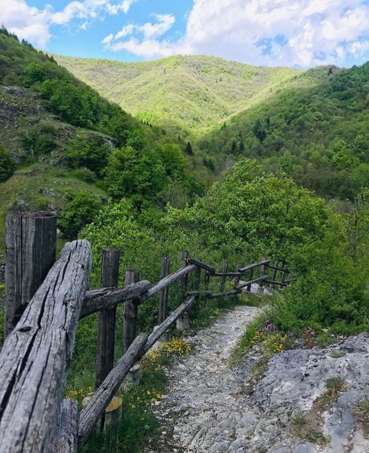 B&B Pisolo E I Persi Pien Roccasparvera Zewnętrze zdjęcie